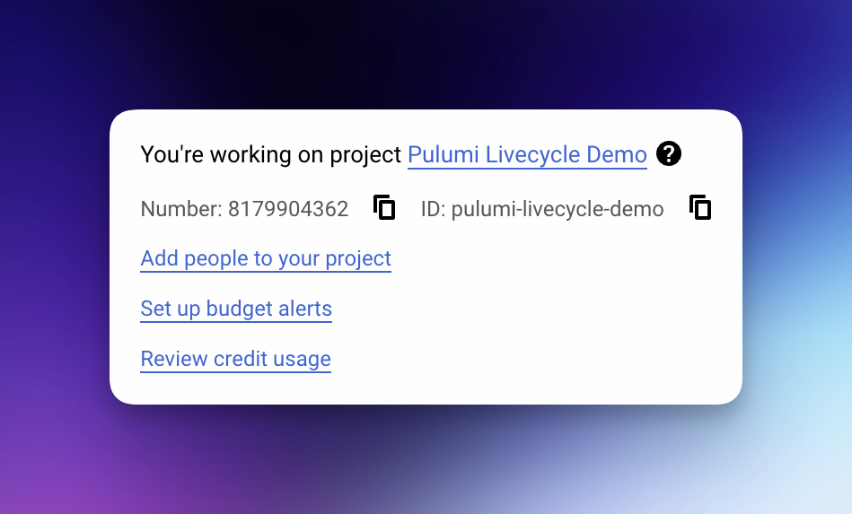 Google Cloud Project Info